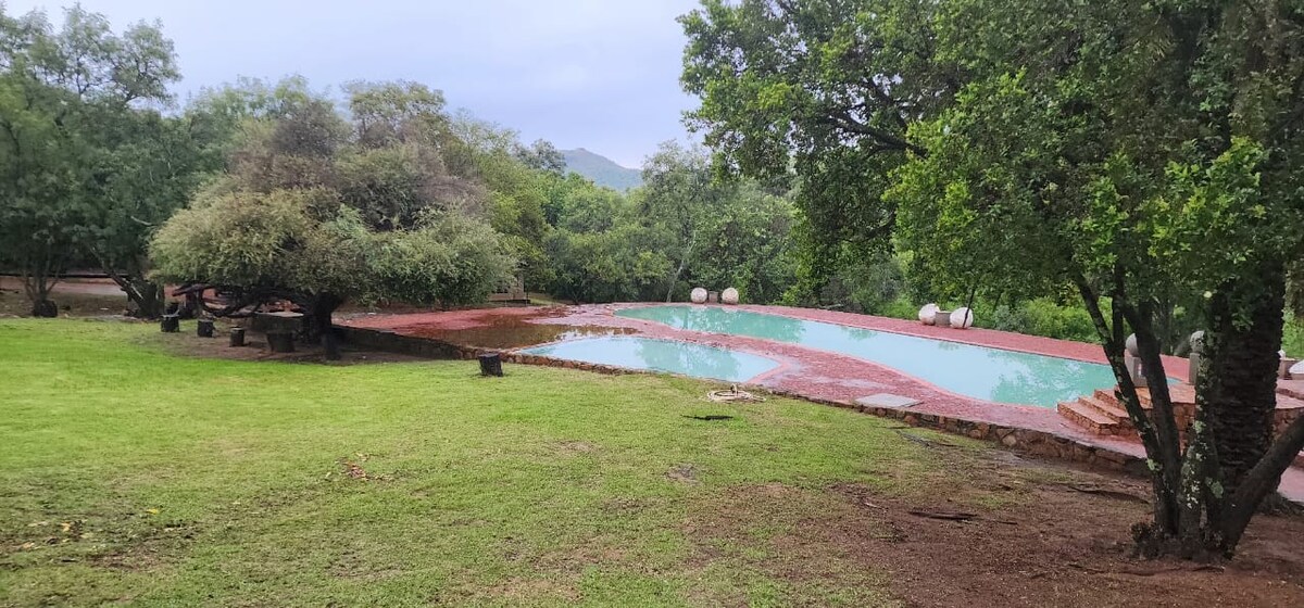 A serene outdoor area features a large swimming pool surrounded by a grassy lawn and mature trees. The pool's water reflects the natural surroundings, while stone pathways lead around the space, inviting guests to explore.