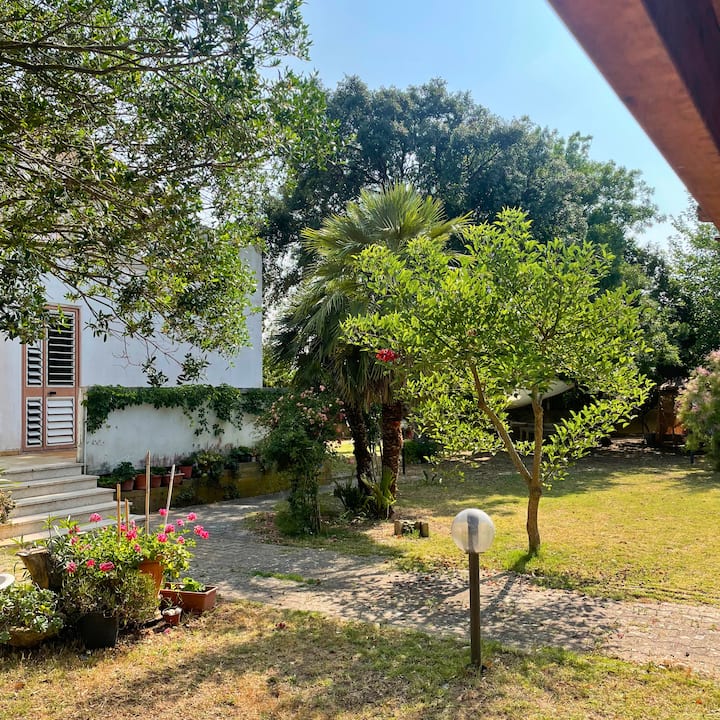 Il Giardino Di Paola - Carbonia