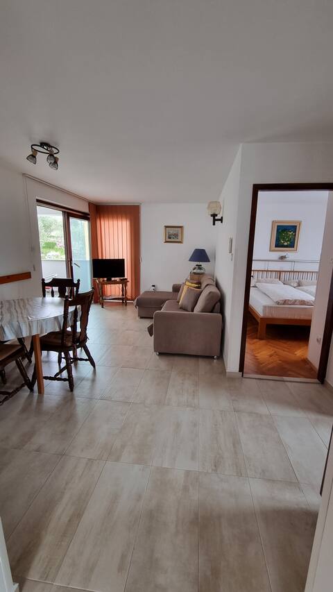 One-Bedroom Apartment with Balcony and Sea View