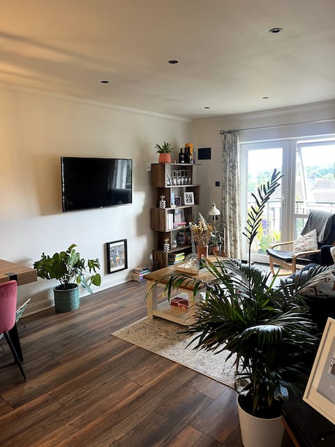 Cosy and comfortable apartment