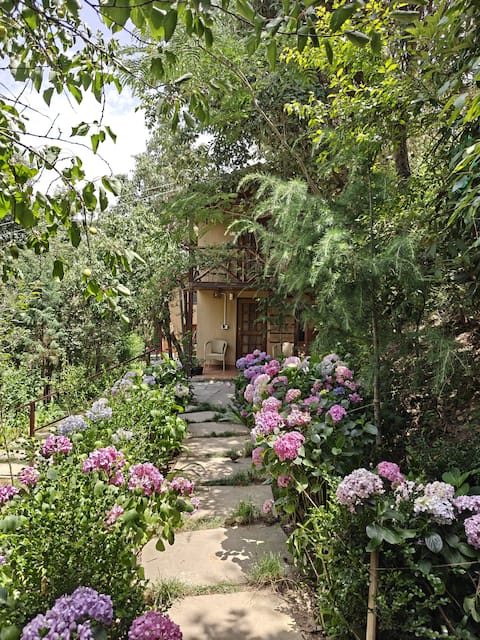 Cob House in Himalayan Orchard 4