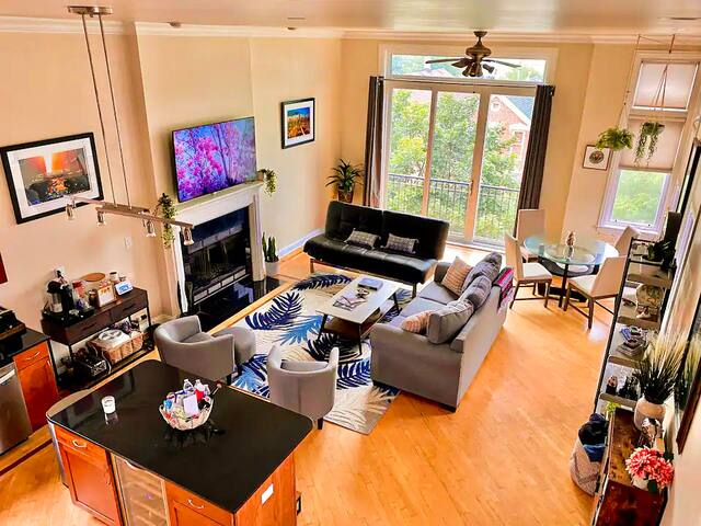 Penthouse In Wicker Park