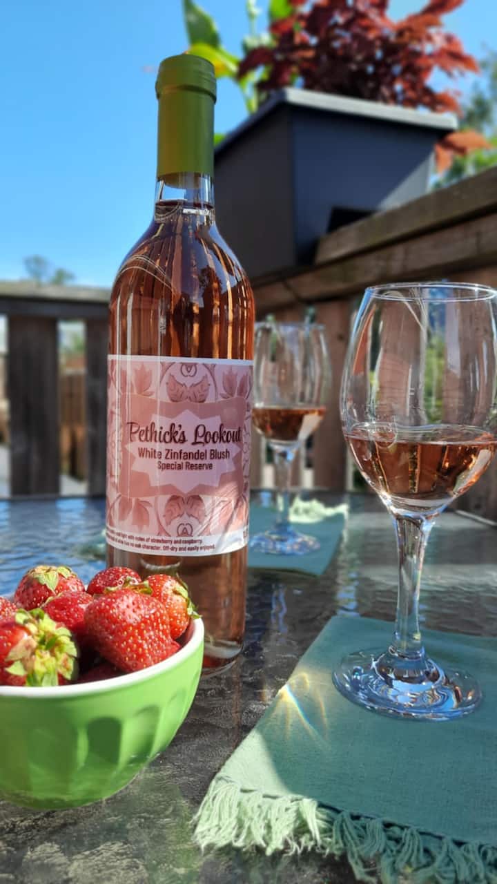 Pethick's Lookout Suite: Family-friendly Apartment - Charlottetown