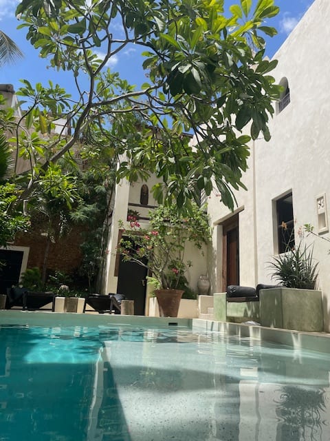 House in the old city with pool, garden & top roof