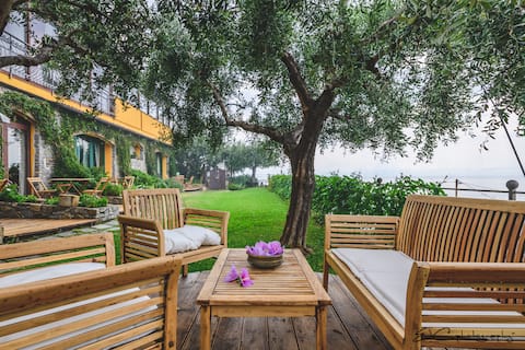 Proprietà Airbnb di successo: Creuza de Ma - farmhouse apartment by the sea a Santo Stefano Al Mare