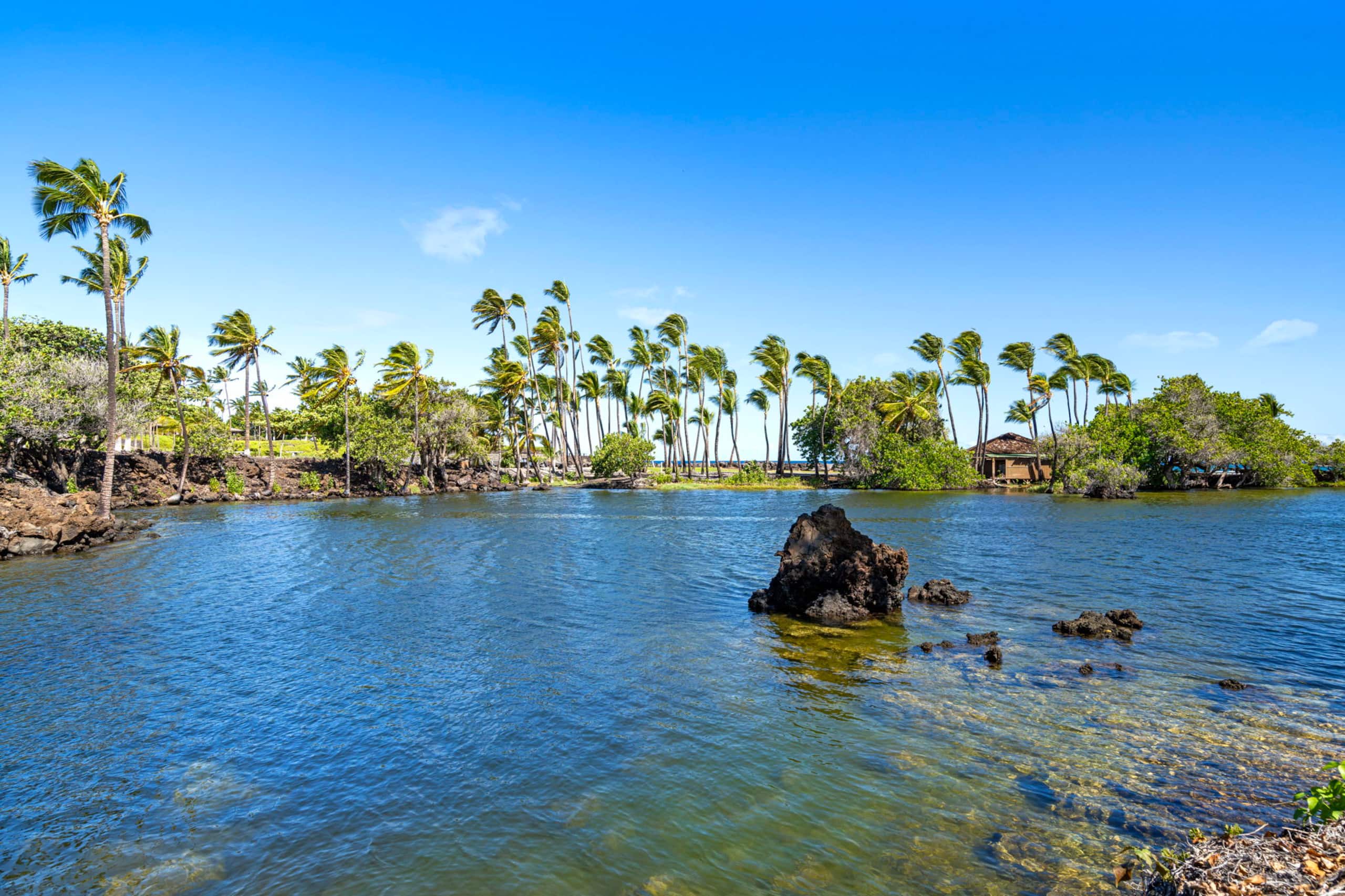 Townhouse in Waimea · ★5.0 · 3 bedrooms · 4 beds · 2.5 baths - Image 81