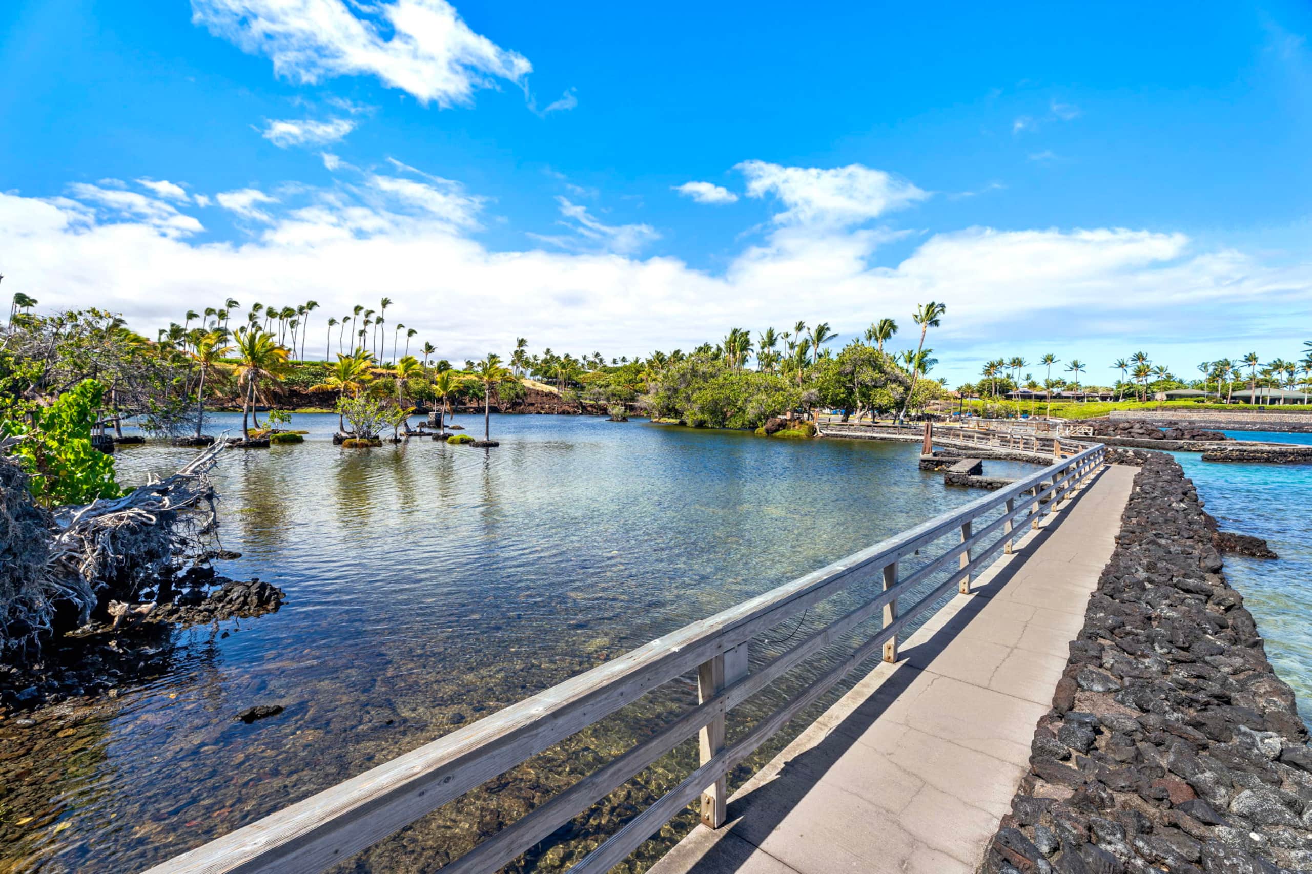 Townhouse in Waimea · ★5.0 · 3 bedrooms · 4 beds · 2.5 baths - Image 77