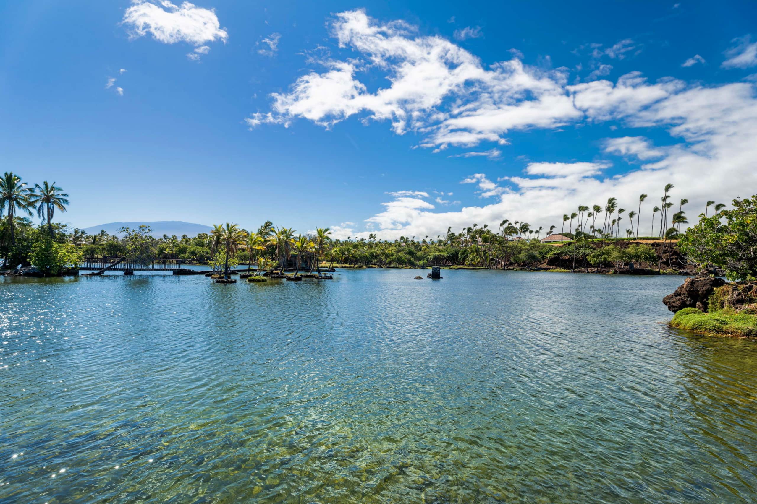 Townhouse in Waimea · ★5.0 · 3 bedrooms · 4 beds · 2.5 baths - Image 79