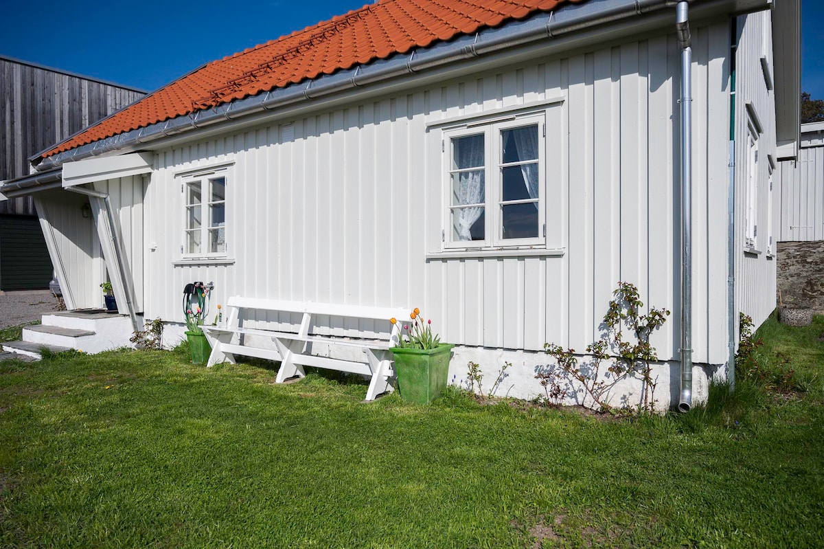 A charming white timber house with a red-tiled roof is set against a clear blue sky. A simple white bench is positioned on a stone platform, surrounded by a well-maintained lawn and flower pots, enhancing the serene outdoor environment.