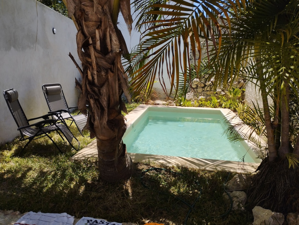 A serene outdoor area features a small pool surrounded by lush greenery, including palm trees. Two black lounge chairs sit nearby on a wooden deck, inviting relaxation. The clear water of the pool reflects sunlight, offering a refreshing retreat.