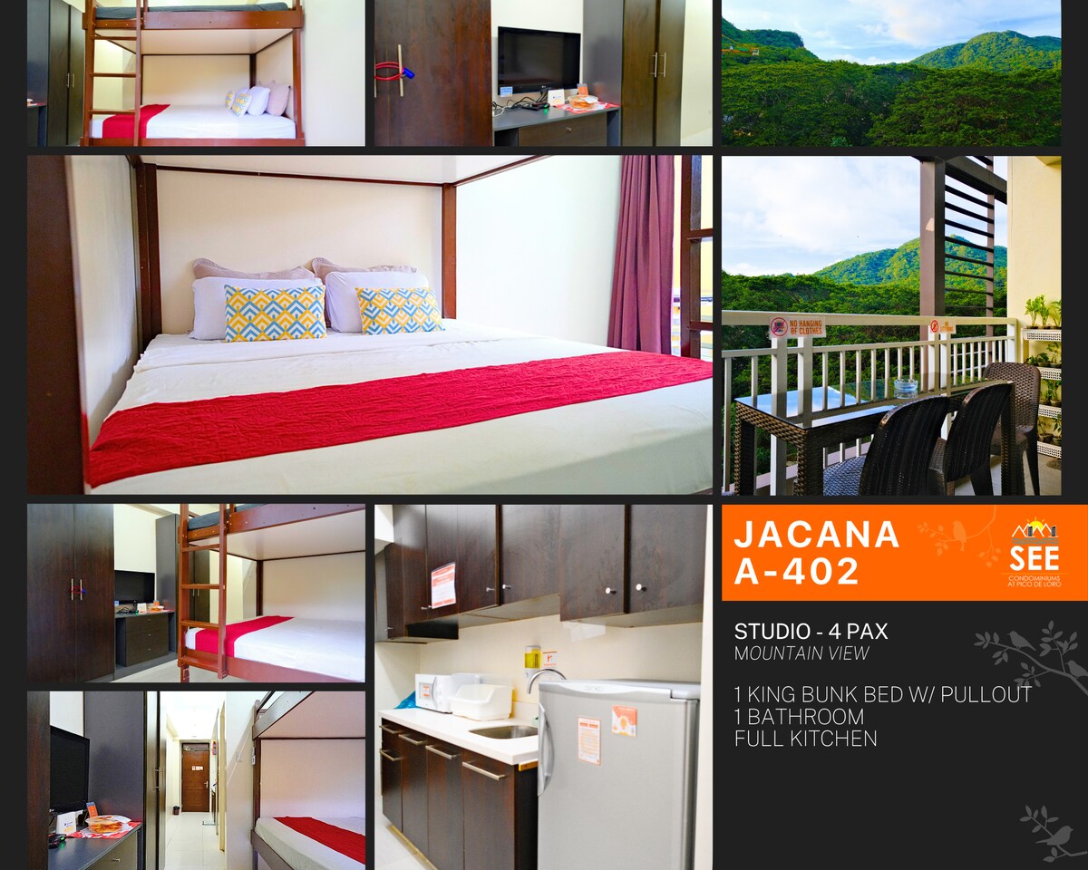 A studio space accommodating four guests features a king-size bed with a pull-out bunk bed. Countryside views are visible through large windows. The kitchenette is equipped with essential appliances, and a bathroom is included, ensuring functional living arrangements.