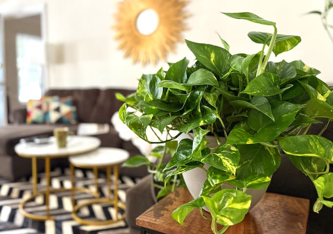 Family Comfort 1200 sqft Home () Walk to Rodeo Dr