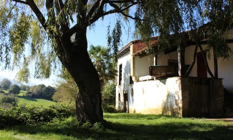 Willow Tree House - Hidden in the perfect place