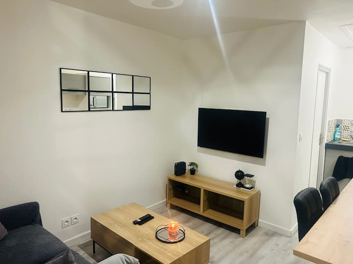 F1 Bis Meublé Hyper Centre - 奧爾良