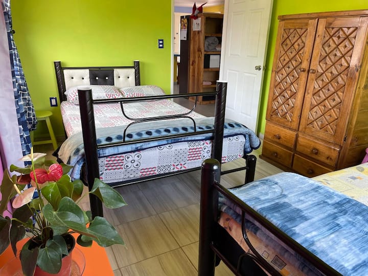 تحتوي هذه الغرفة على سريرين، سرير مزدوج وسرير فردي، وتنام بشكل مريح 3 أشخاص هنا.