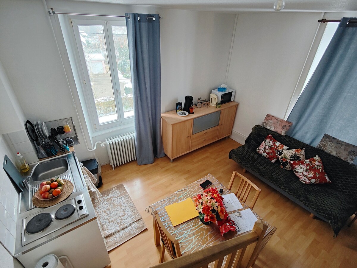 Airbnb performant: Spacious Duplex Studio near train station/bus/transportation à Montbéliard