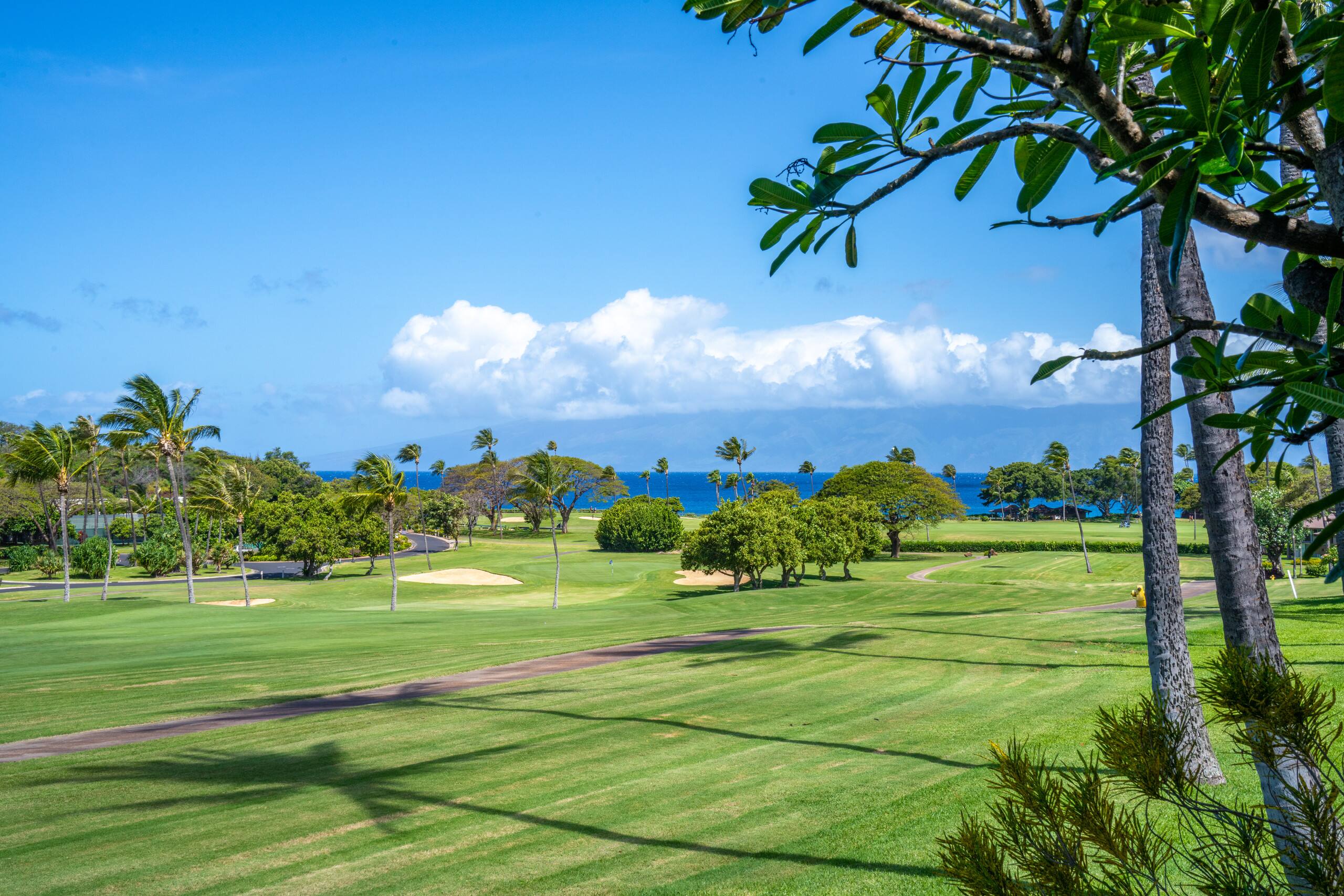 Kaanapali Maui Eldorado Unit A106 1 BD / 1BA - Photo 16