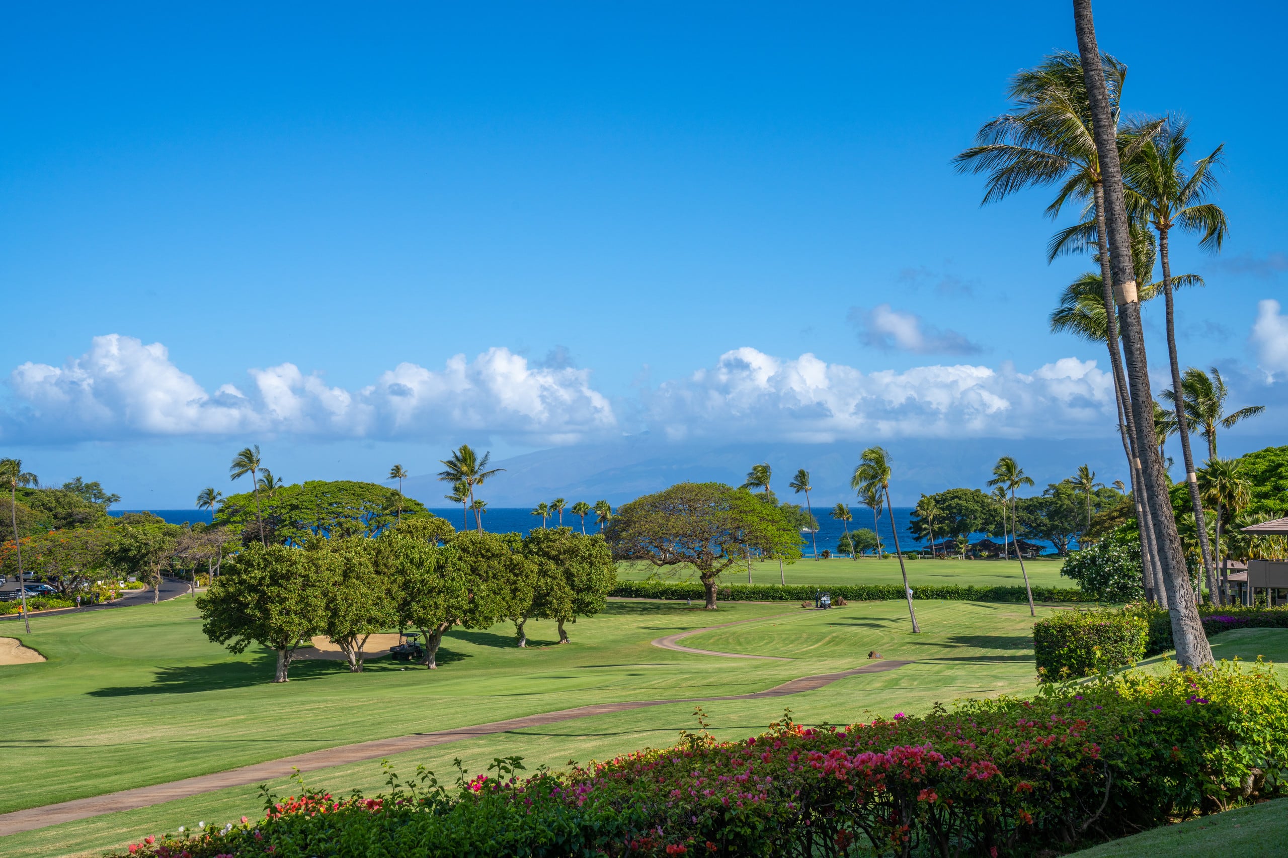 Kaanapali Maui Eldorado C104 Partial Ocean View 1BD/1BA - Photo 14