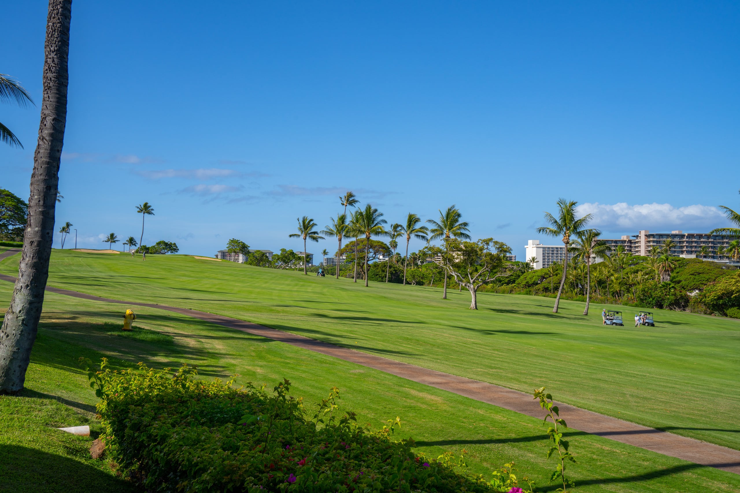 Kaanapali Maui Eldorado C104 Partial Ocean View 1BD/1BA - Photo 10