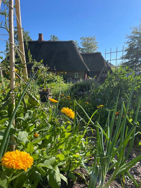 „Hyggelig“ thatched hobbit house with garden