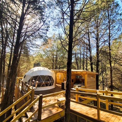 TreeTopia—Fall Retreat Amoung the Trees