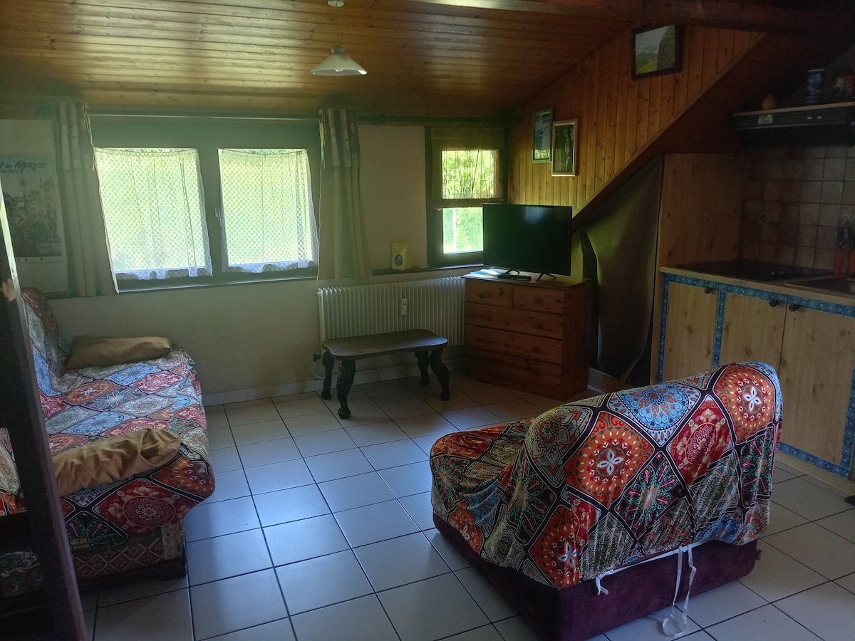 Pamje e përgjithshme e dhomës së ndenjjes - Kuzhina në të djathtë - , clic-clac (2 vende gjumi) dhe kolltuk i konvertueshëm ( fjetja 1 vend ).