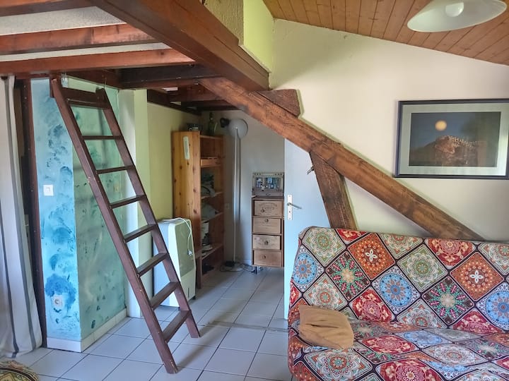 Studio Au Bord Du Lac D'annecy - Doussard