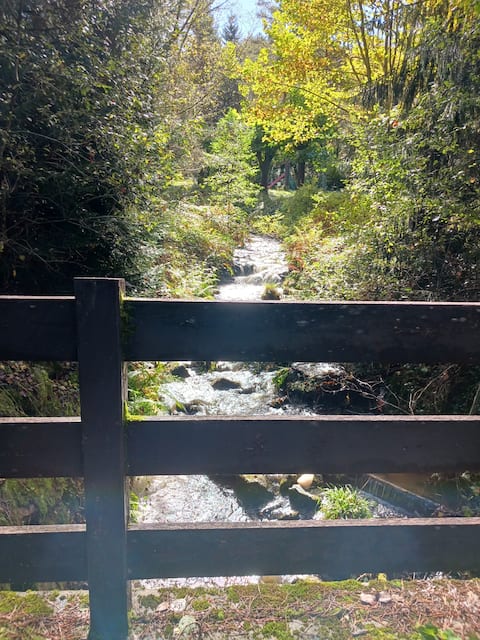 Retro Gîte in the heart of Nature n°3