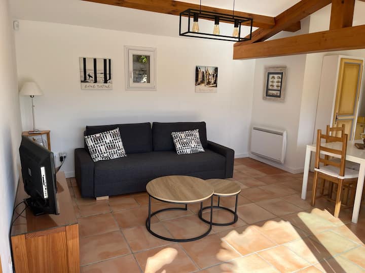 Petite Villa Indépendante - Grande Piscine 12x8 - Carqueiranne