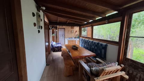 Successful Airbnb property: A house near the beach in Zapallar