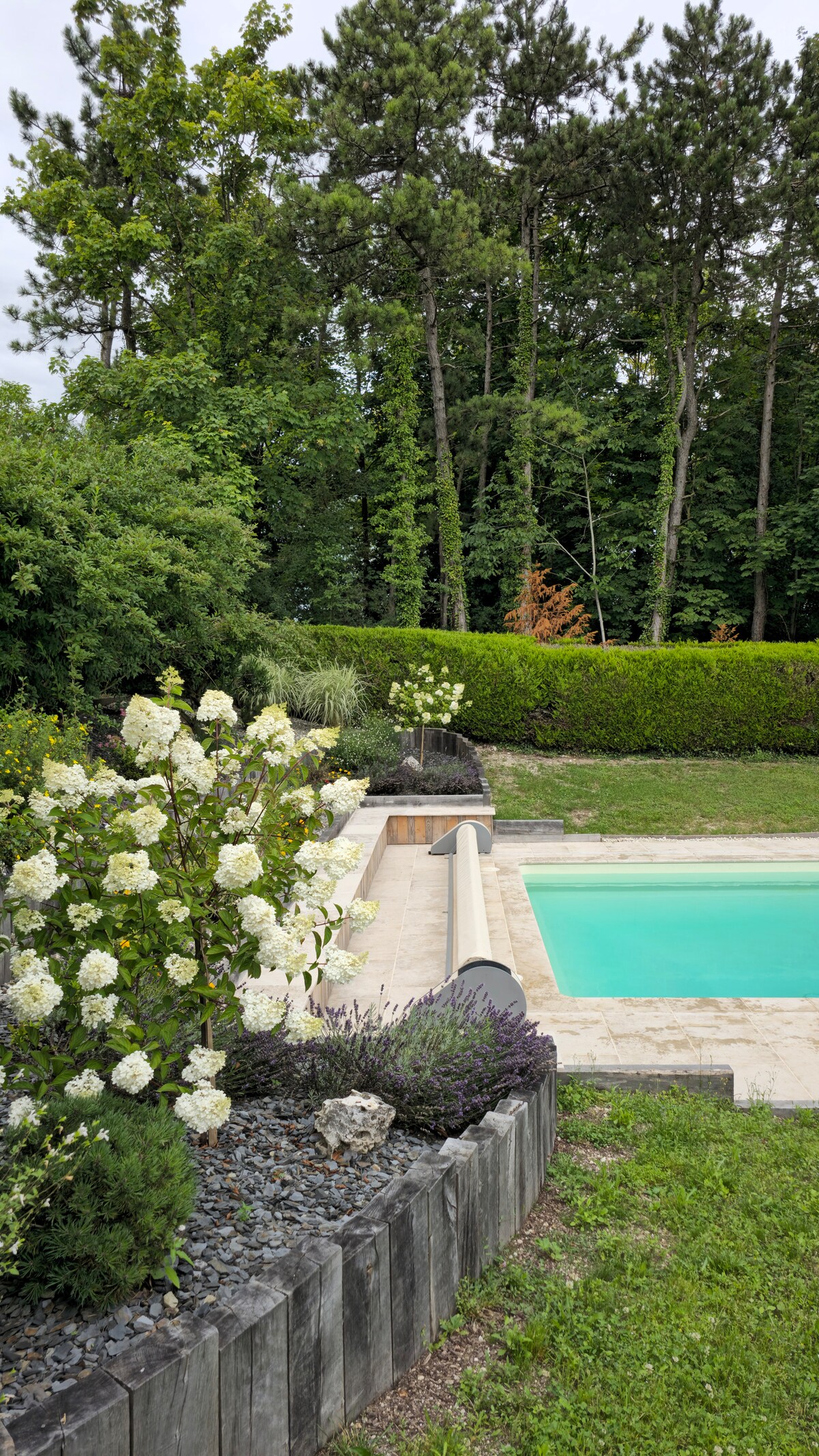 A serene view of the outdoor pool surrounded by lush greenery, featuring carefully maintained flower beds with white blooms and purple lavender. Tall trees provide a natural backdrop, enhancing the peaceful setting. The pool's calm turquoise water offers a refreshing focal point.