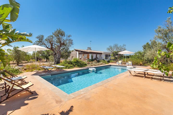 Trulli with pool in Puglia