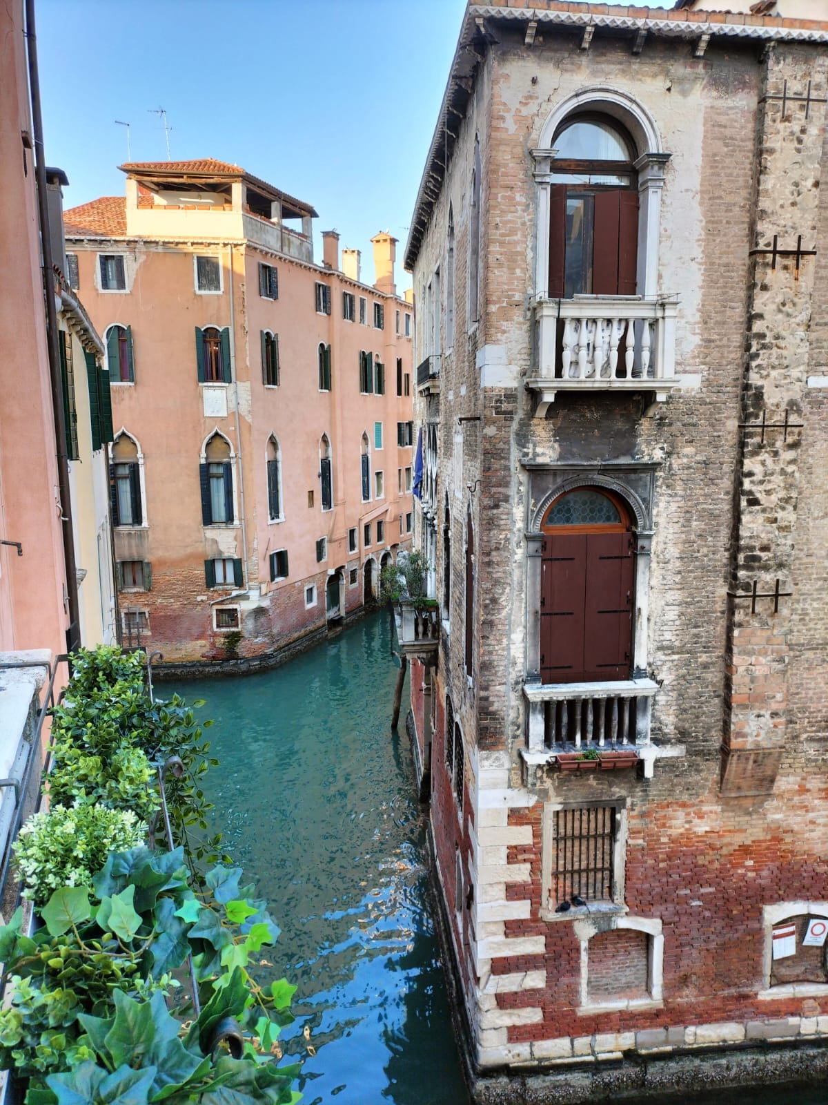 A view of a serene Venetian canal surrounded by historic buildings. Elegant architectural details, such as arched windows and balconies, are visible along the waterway. Lush greenery frames the image, creating a calming atmosphere. The clear blue sky highlights the charm of Venice.