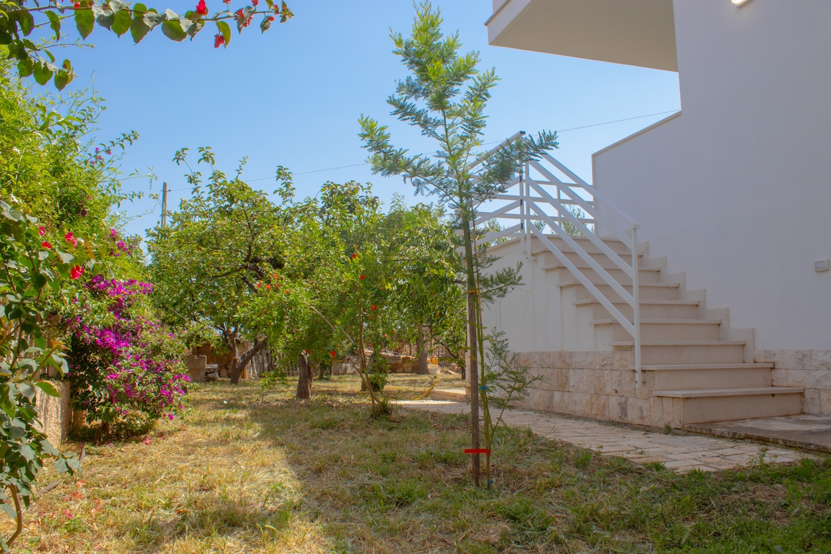 A serene garden features lush greenery, including flowering plants and trees. The well-maintained grass provides a natural setting, while a staircase leads to the upper entrance of the building. Clear blue skies enhance the tranquil atmosphere of the outdoor area.