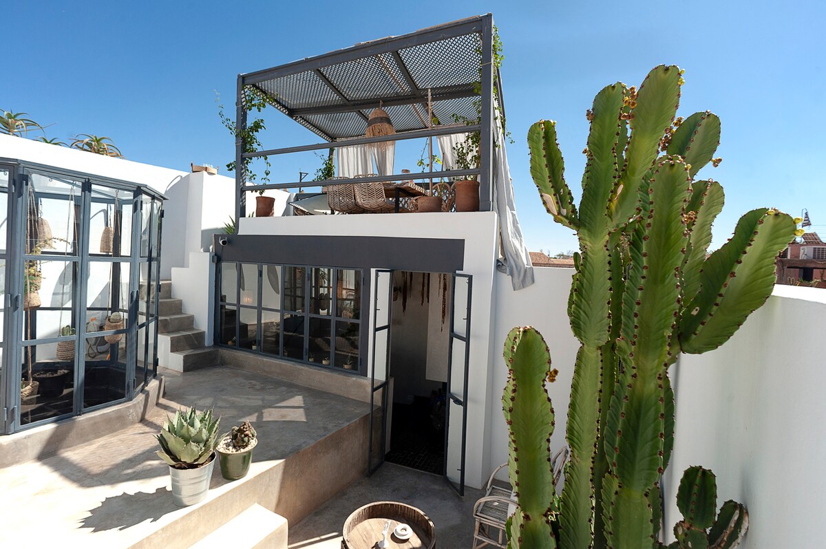 A rooftop terrace features comfortable seating and potted plants, surrounded by a clear blue sky. Steps lead down to a lower area with large windows and decorative cacti, enhancing the inviting outdoor space.