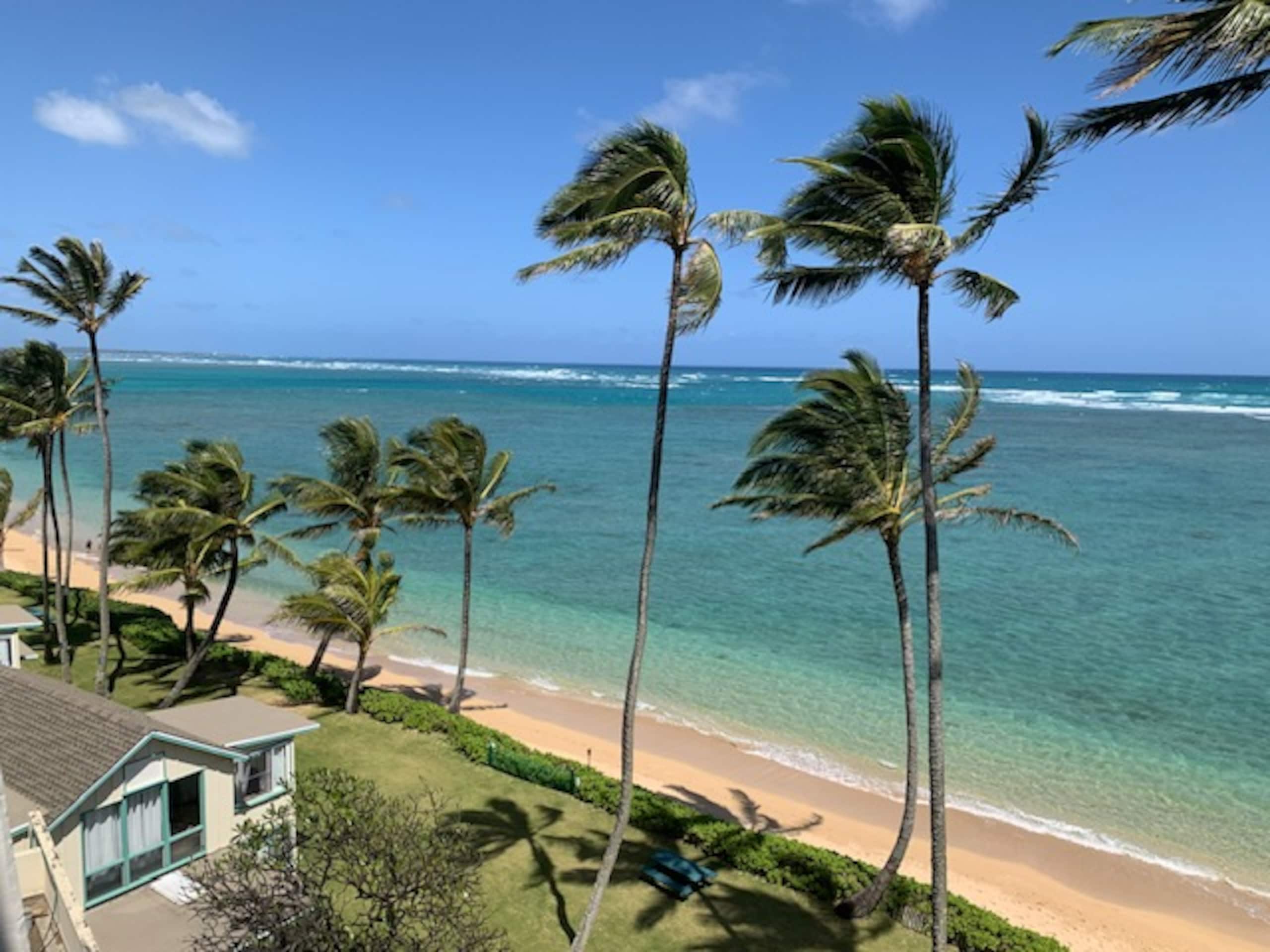 Condo in Hauula · ★4.88 · 1 bedroom · 3 beds · 1 private bath - Image 48