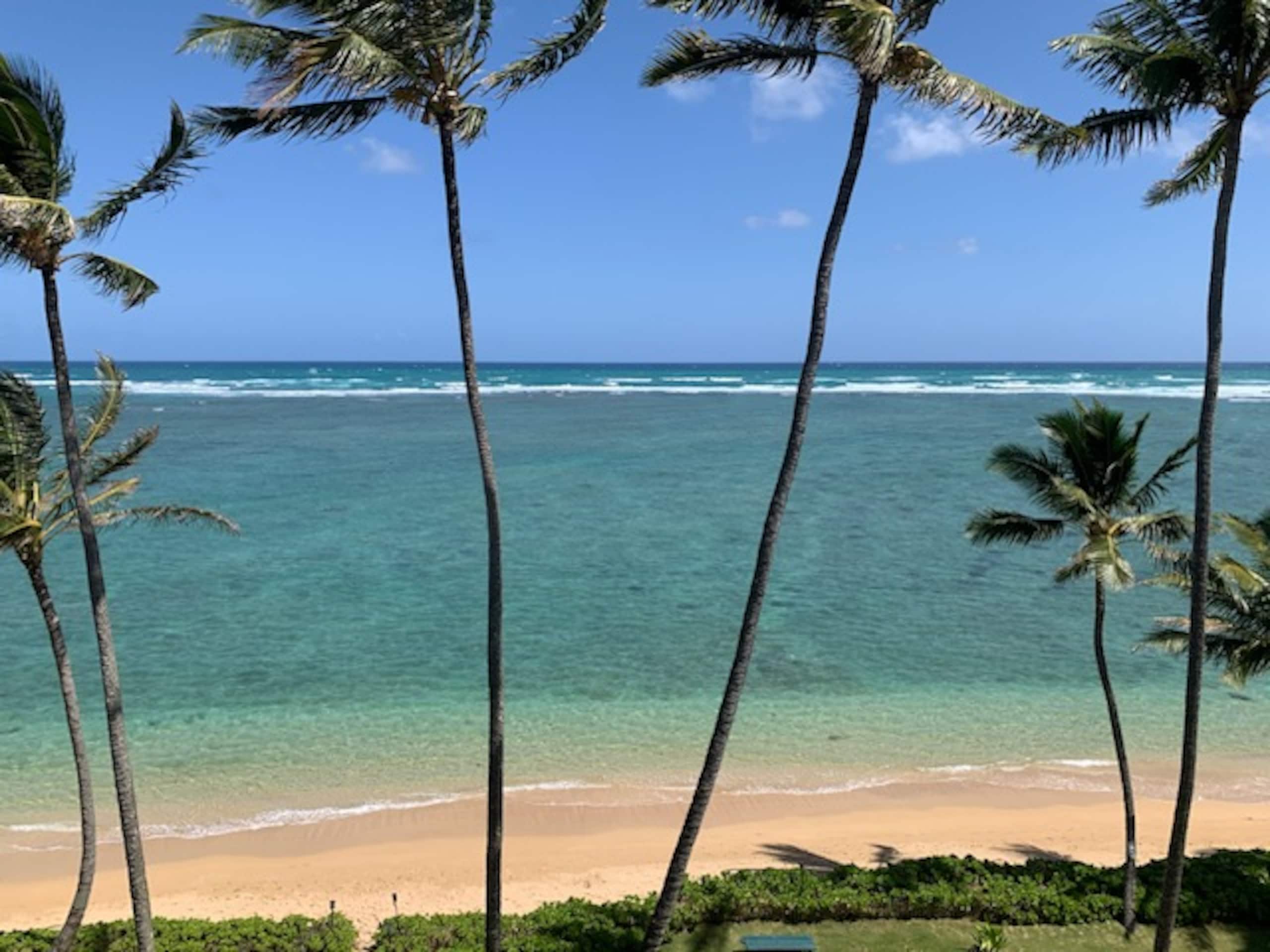 Condo in Hauula · ★4.88 · 1 bedroom · 3 beds · 1 private bath - Image 51