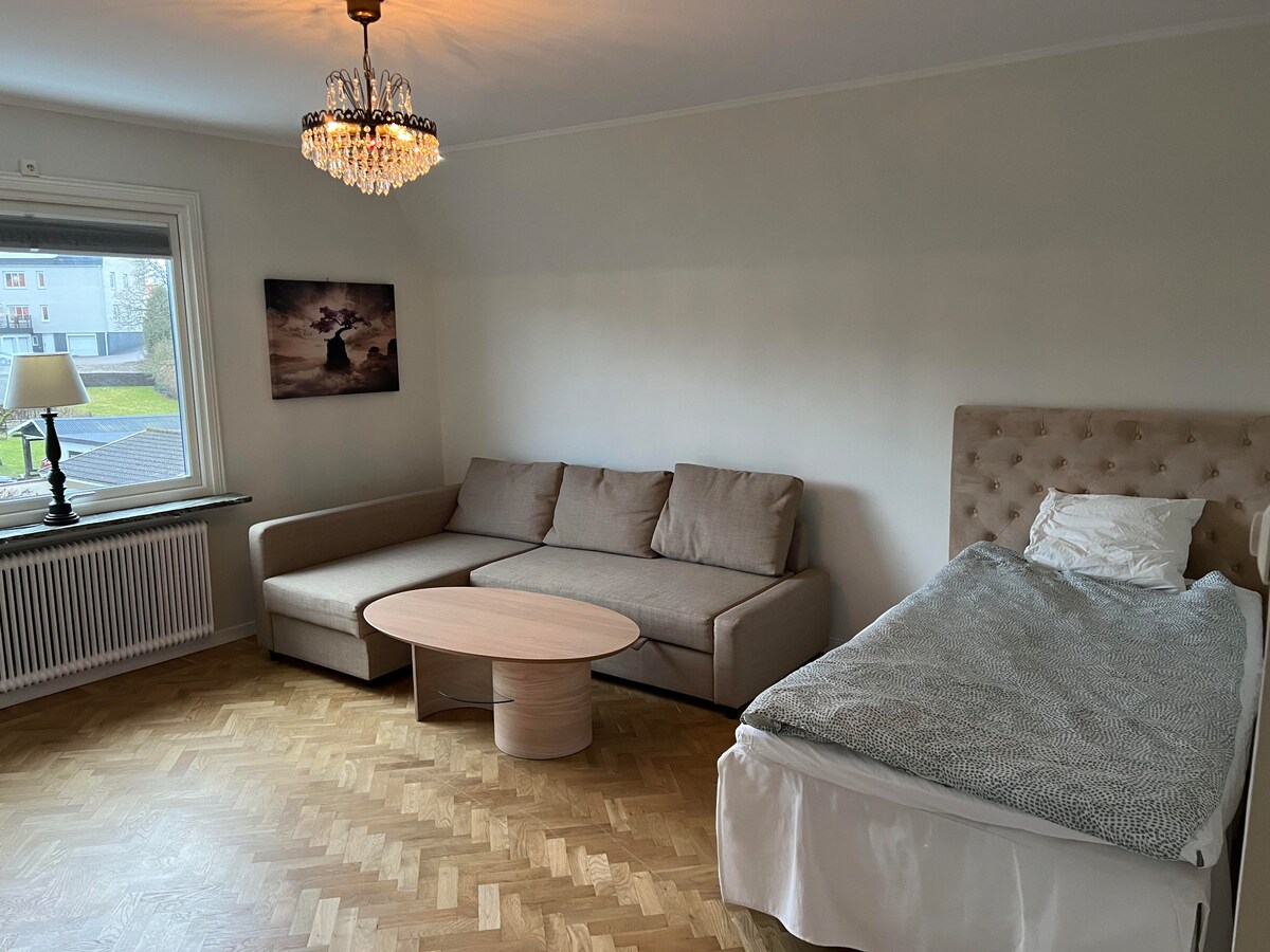 นี่คือลักษณะที่เห็นเมื่อโซฟาเบดเป็นเหมือนในห้องขนาดใหญ่/ห้องดูทีวี