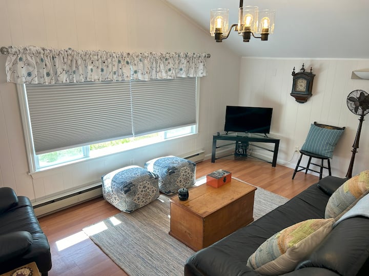 Berkshire Cabin By Lake Ashmere - Ashmere Lake, MA