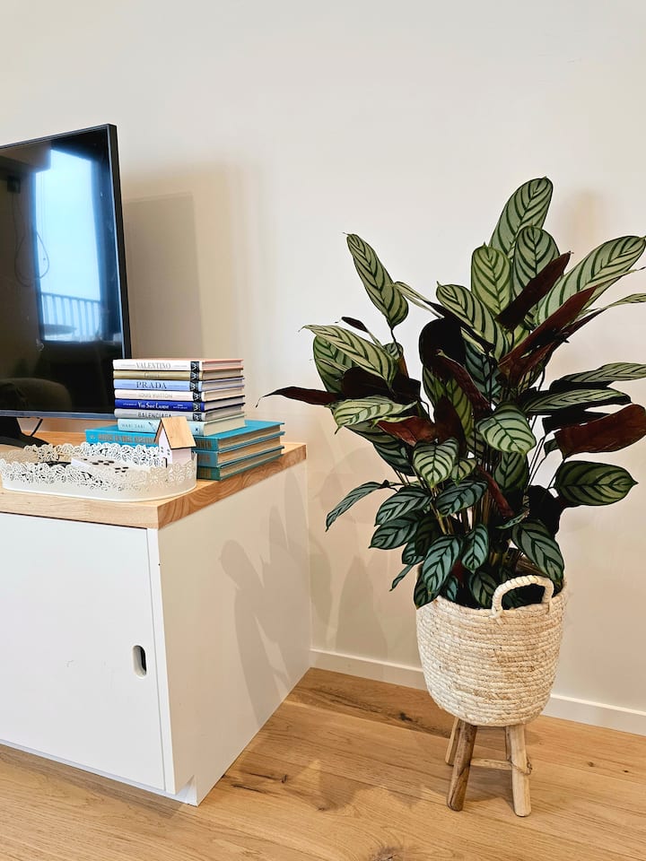 მისაღები ოთახი