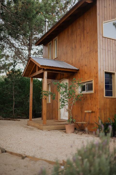 Forest Cabin