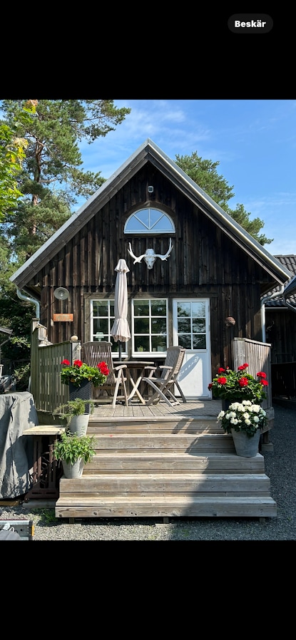 The charming wooden cabin features a stepped entrance with a small outdoor dining area, including a table and chairs under a shade umbrella. Bright flower pots adorn the entrance, contributing to a welcoming atmosphere against the backdrop of green trees and blue skies.