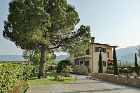 Olives and Vines all seasons villa