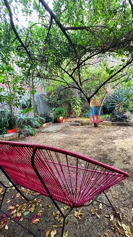 Casa de Popo e Ixta, 10 min walk to Condesa gallery image 5