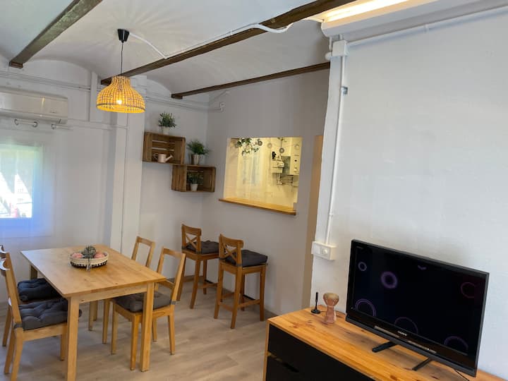 Apartment De Ca L’oriol - Bagà
