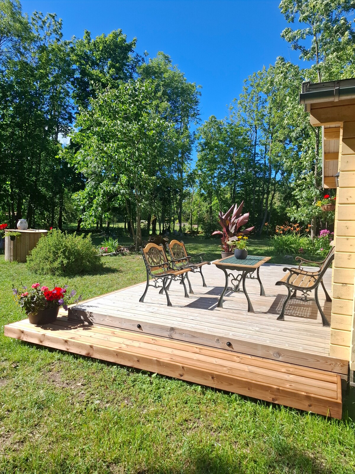 A wooden deck is surrounded by lush greenery, featuring four elegant metal chairs and a small table. Potted plants, including colorful flowers, add a decorative touch. The area is well-lit by natural sunlight, providing a peaceful outdoor setting.