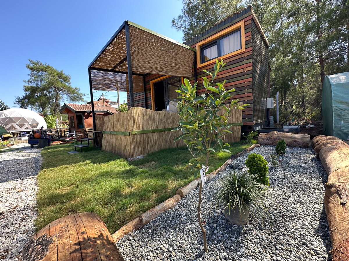 A tiny house is surrounded by a natural setting, featuring wooden accents and large windows. A small garden area with decorative plants is visible in front, while a covered porch offers a shaded space. Gravel pathways and logs create a rustic feel throughout the exterior.