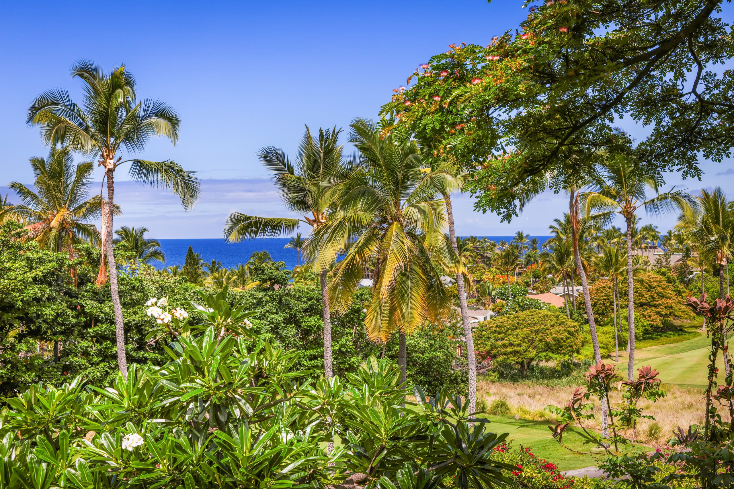 Condo in Kailua-Kona · ★4.98 · 1 bedroom · 2 beds · 1 bath - Image 27