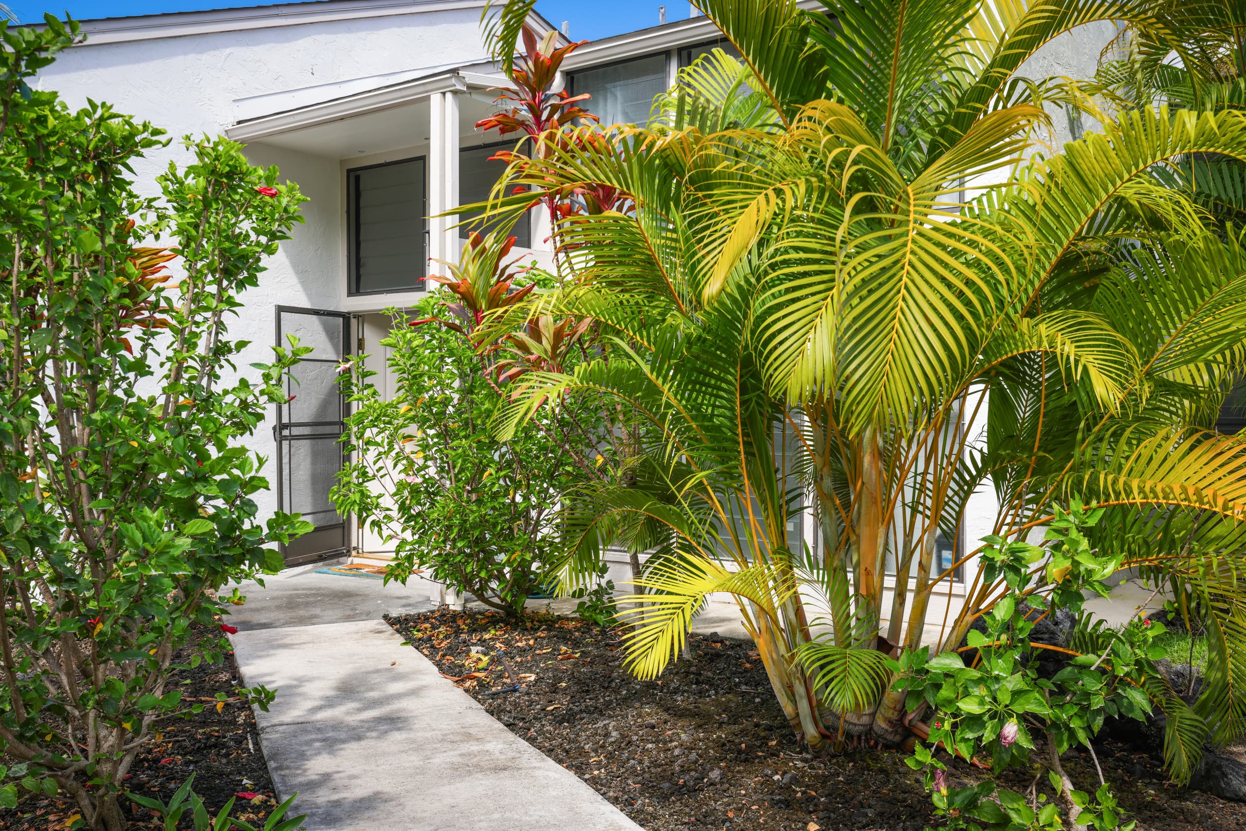 Condo in Kailua-Kona · ★4.98 · 1 bedroom · 2 beds · 1 bath - Image 32