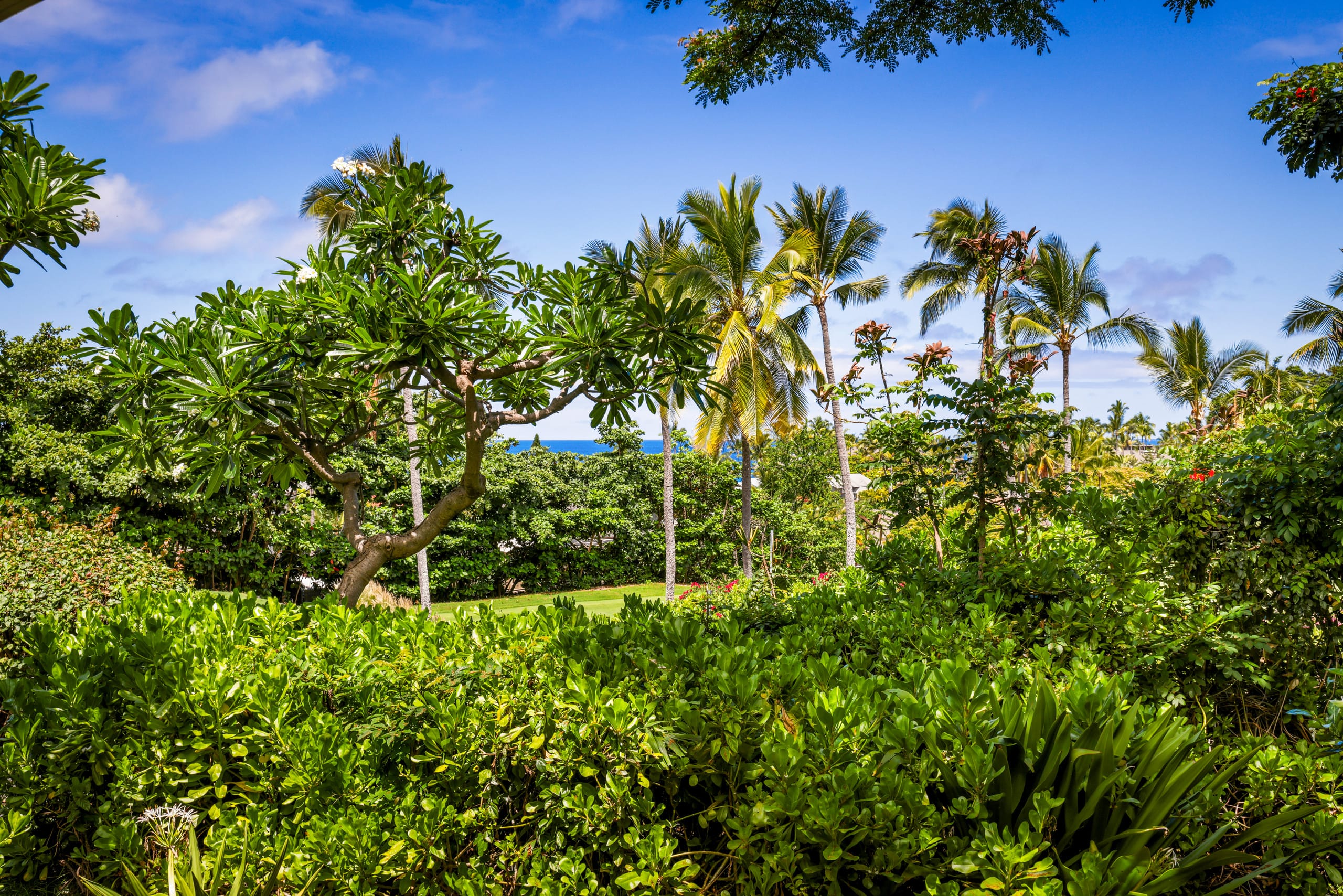 Condo in Kailua-Kona · ★4.98 · 1 bedroom · 2 beds · 1 bath - Image 29